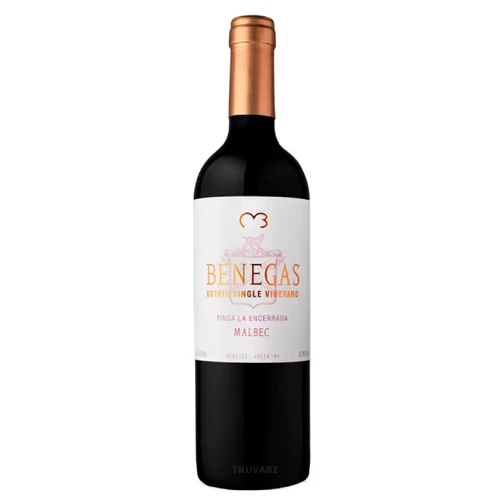 Benegas Single Vineyard Malbec