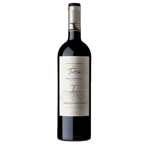 SEPTIMA TIERRA Agrelo 1050 msnm.