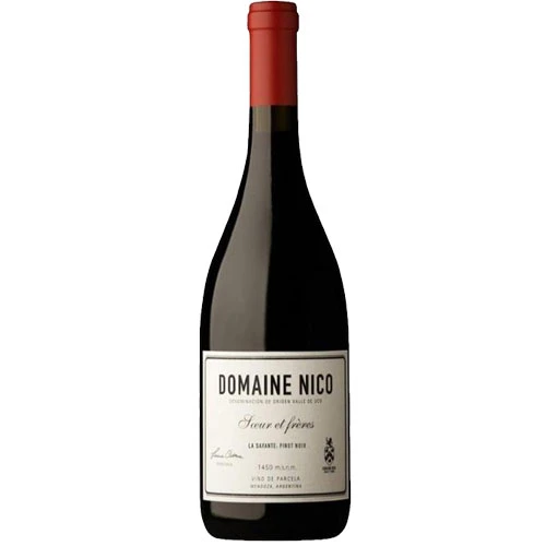 DOMAINE NICO LA SAVANTE